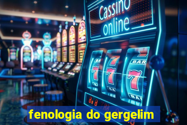 fenologia do gergelim